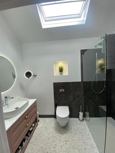 a bathroom with a toilet and a sink and a shower at Dave & Kelz Deluxe king size studio room in Builth Wells