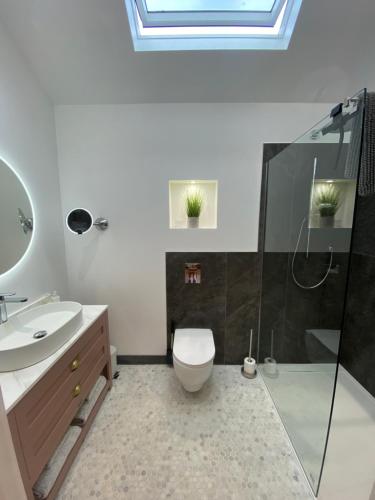 a bathroom with a toilet and a shower and a sink at Dave & Kelz Deluxe king size studio room in Builth Wells