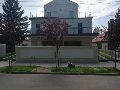 a black cat sitting in the grass in front of a building at ZR9 in Zamárdi