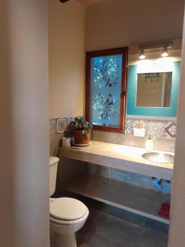 a bathroom with a toilet and a sink and a mirror at Cabañas Tierra Verde in El Bolsón