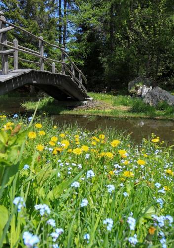 a wooden bridge over a river with flowers at Maison Chez Les Roset in Arvier
