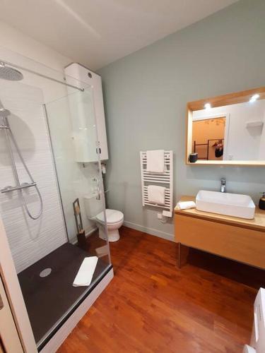 une salle de bain avec une douche, un lavabo et des toilettes dans l'établissement T2 calme vieux Tours Basilique, à Tours