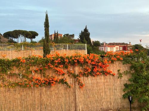 a retaining wall with orange flowers on it at Casa Carolina - This One in Higuerón with Quality and Peace in Mijas