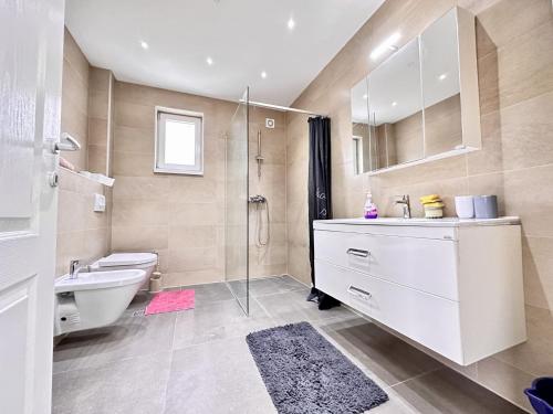 uma casa de banho com um lavatório, um WC e um chuveiro em Villa Max em Sarajevo