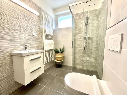 uma casa de banho com um WC, um lavatório e um chuveiro em Apartment 1 in the Bank House em Kutná Hora