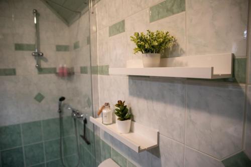 a bathroom with a shower and a toilet with plants at Hiška sončni hrib. in Novo Mesto