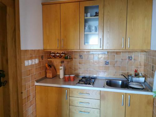 Una cocina o cocineta en Hiška sončni hrib.
