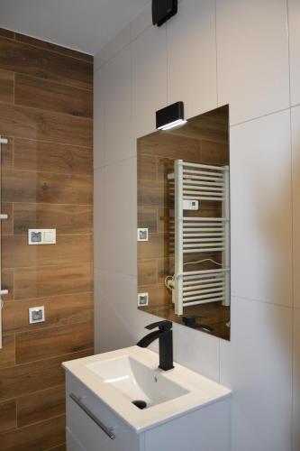 La salle de bains est pourvue d'un lavabo et d'un miroir. dans l'établissement VILLA HALINTON, à Wodzisław Śląski