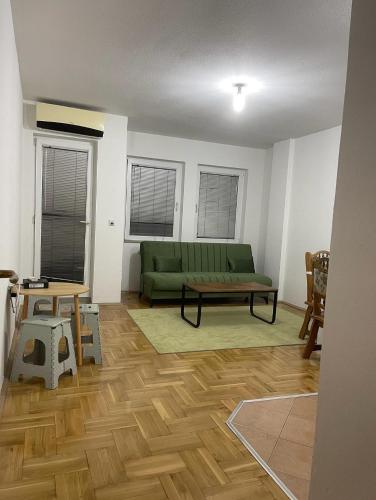 Kosovo Polje的住宿－Erion’s apartament，客厅设有绿色沙发和木地板