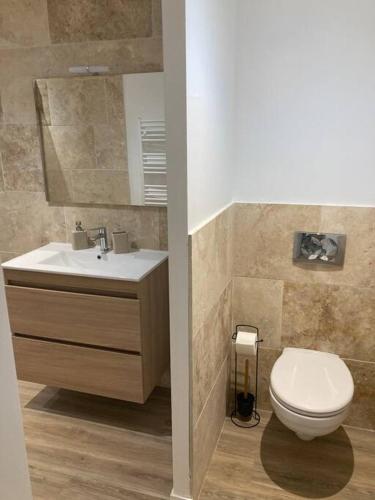 La salle de bains est pourvue de toilettes blanches et d'un lavabo. dans l'établissement T2 à 50 mètres de la gare, à Roanne