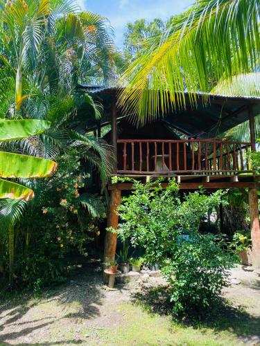 Cabuya Tropical Cabin – Photos 2