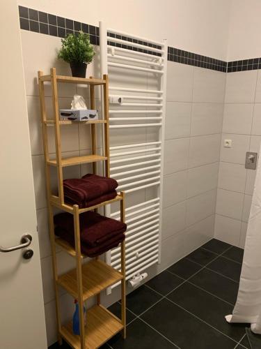 y baño con ducha con toallero de madera. en Strassi 1, en Plauen