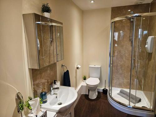 卡萊爾的住宿－Carlisle City Centre. Spacious Apartment. Ideal location.，带淋浴、盥洗盆和卫生间的浴室