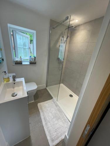 a bathroom with a shower and a toilet and a sink at Self contained 1 bedroom in Windsor