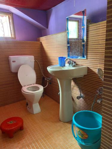 a bathroom with a toilet and a sink and a mirror at Al Hayat Guest House in Pahalgām