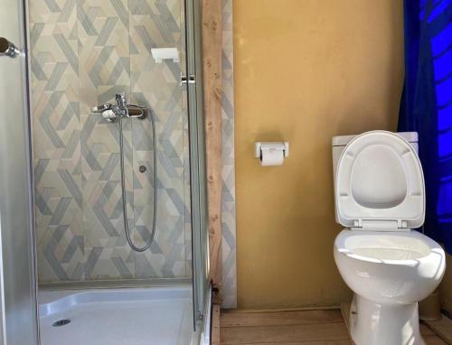 een badkamer met een toilet en een douche bij Spa Shallum in Kibuye