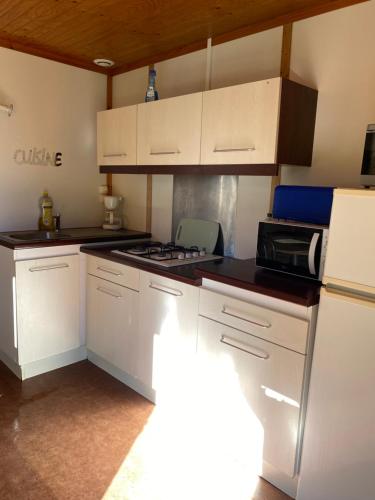 a kitchen with white cabinets and a microwave at Charmant logement à la campagne, au calme in Manhac
