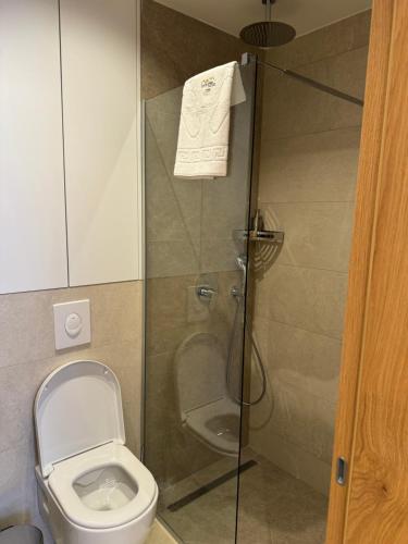 a bathroom with a toilet and a glass shower at Apartman 305 Zlatni Javor in Jahorina