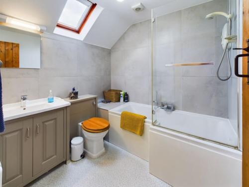 a bathroom with a shower and a toilet and a sink at Cosy Stone Cottage in Llanarthney nr Carmarthen in Llanarthney