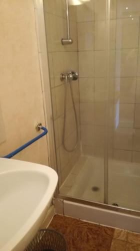 une salle de bain avec une douche avec une porte vitrée dans l'établissement chalet le pastoral, à Saint-Anthème