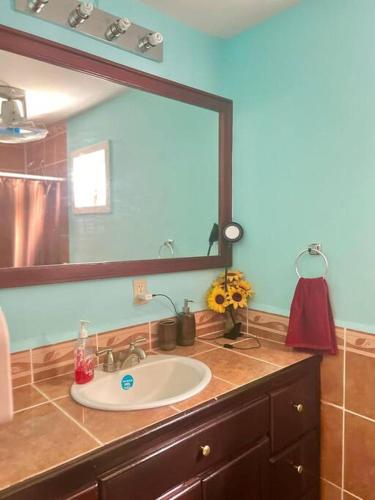 een badkamer met een wastafel en een grote spiegel bij Island style home, low key rental in Roatan