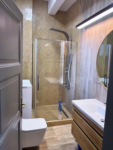 a bathroom with a shower and a toilet and a sink at Апарт-отель "ГАЛАГОВЪ" in Uzhhorod