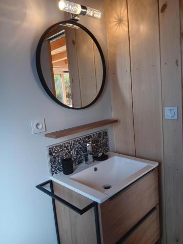 a bathroom with a sink and a mirror at Lodges Clara Vallis in Clairvaux-les-Lacs
