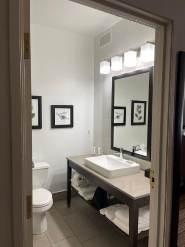 a bathroom with a sink and a toilet and a mirror at Country Inn & Suites by Radisson, Prairie du Chien, WI in Prairie du Chien