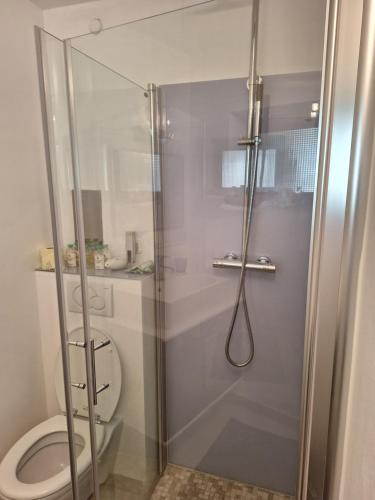 a shower with a glass door next to a toilet at Seeapartment am Ossiacher See am Fuße der Gerlitzen in Stiegl