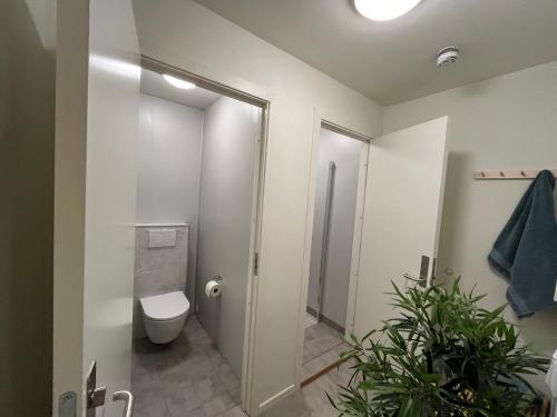 a bathroom with a toilet and a walk in shower at Attme Have in Brostadbotn