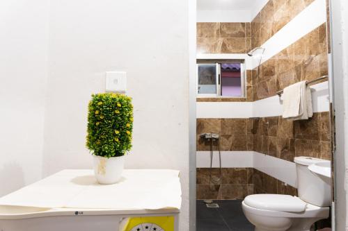 a bathroom with a toilet and a plant at Village Francophone Hotel in Kasoa
