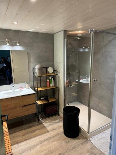 een badkamer met een douche en een wastafel bij La Villa in Meschers-sur-Gironde