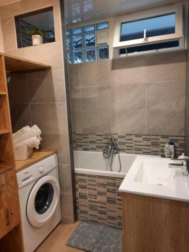 une salle de bain avec une machine à laver et un lavabo dans l'établissement Chez Alice, à Colmar