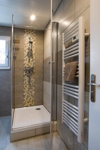 une douche avec une porte vitrée dans une salle de bain dans l'établissement LE ST JOSSE GITE TOUT CONFORT A COLMAR, à Colmar