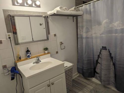 une salle de bain avec un lavabo et un rideau de douche dans l'établissement Cozy basement apartment in the heart of Oakville, à Oakville