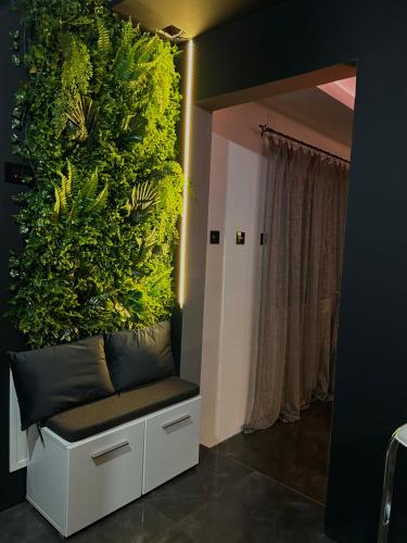 a large green wall with a bench in a room at Beta Lux in Zaječar