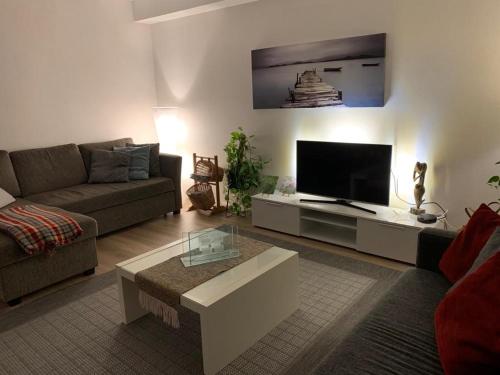 salon z kanapą i telewizorem z płaskim ekranem w obiekcie Rovaniemi city Apartment w mieście Rovaniemi