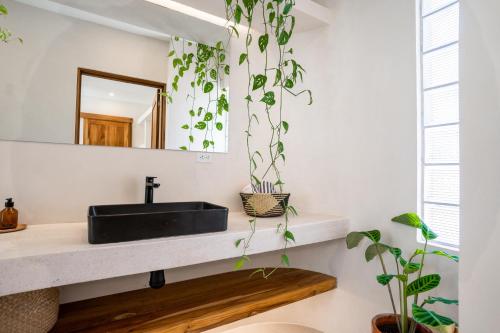 Fotografie z fotogalerie ubytování Botanika Suites v destinaci Playa Santa Teresa