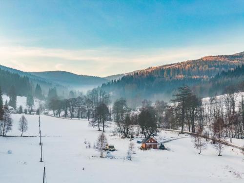 Drewniany domek pod masywem Śnieżnika dojazd otwarty في Nowa Morawa: كابينة في حقل ثلجي مغطى بالشجر