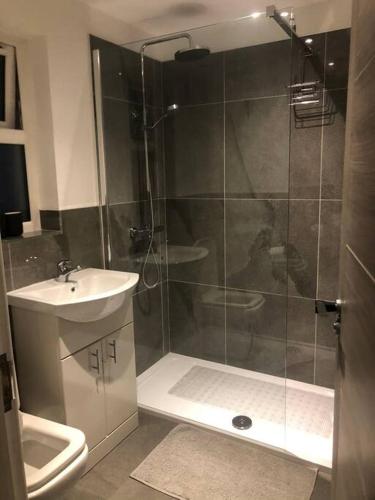 a bathroom with a shower and a sink at Luxurious Seaside Apartment in Bangor