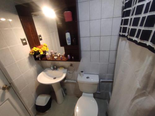 ein kleines Bad mit WC und Waschbecken in der Unterkunft Hostal Dulces Sueños in Chillán