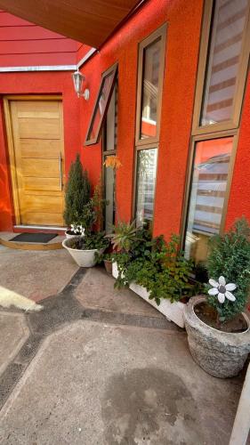 a house with pots of plants in front of it at Hostal Dulces Sueños in Chillán