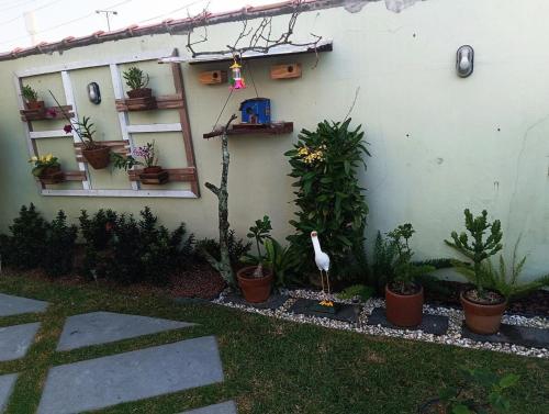 Taman di luar Jardim das orquideas 2