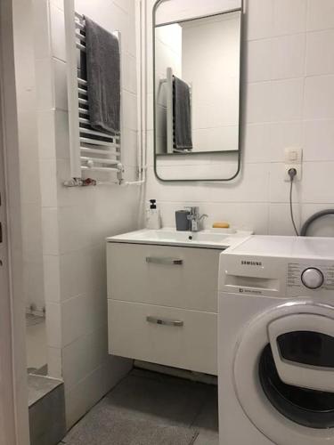 ein weißes Bad mit einer Waschmaschine und einem Spiegel in der Unterkunft Appartement entier 2 chambres longwy in Longwy