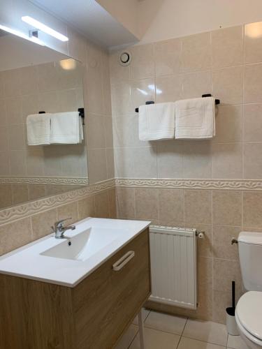 a bathroom with a sink and a toilet and a mirror at Agréable maison meublée in Cherbourg en Cotentin