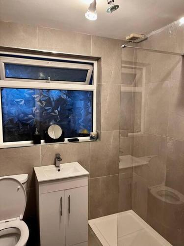 a bathroom with a shower and a toilet and a window at Cosy Seaside Cottage in Bangor