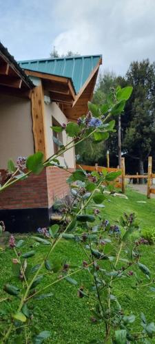 a house with a green roof in a yard at Arroyo Escondido in Trevelin