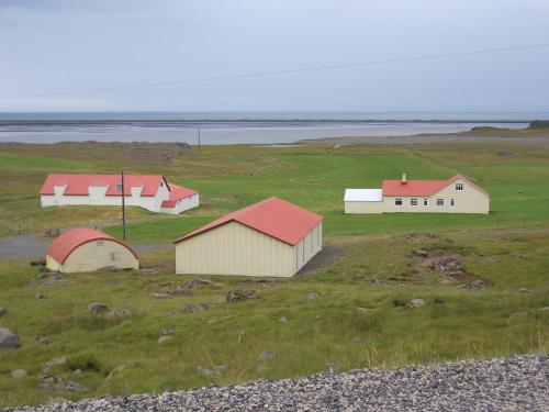 un groupe de bâtiments dans un champ proche de l'océan dans l'établissement Lón Guesthouse, à Thorgeirsstadir