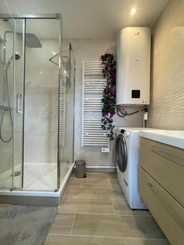 La salle de bains est pourvue d'une douche et d'un lave-linge. dans l'établissement Studio cozy 30m² près RER/CDG/Parc des Expos, à Villepinte