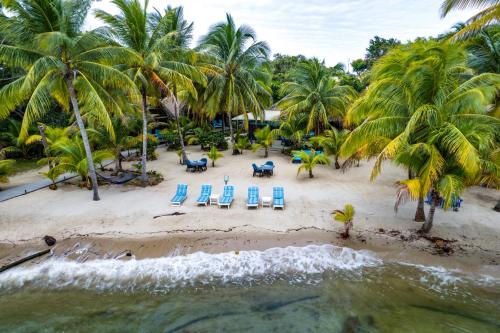 an aerial view of a beach with chairs and palm trees at Azure Del Mar in Maya Beach